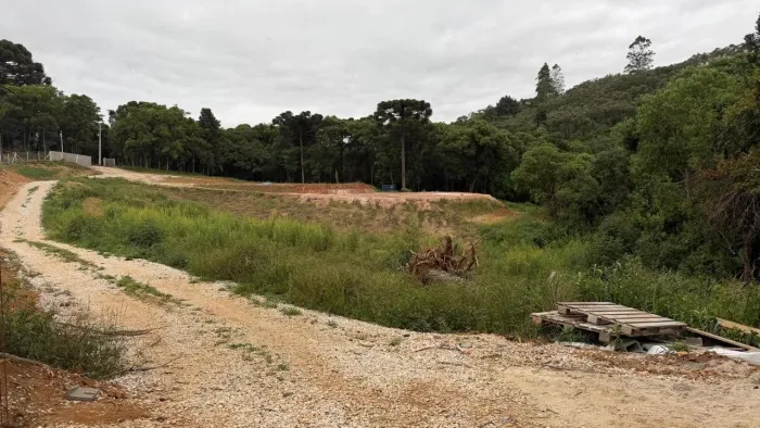 VENDO CHÁCARA EM ALM. TAMANDARÉ 20.000m2