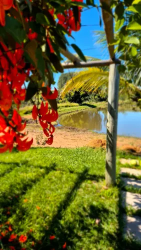Oportunidade - Fazenda com área produtiva com pivô