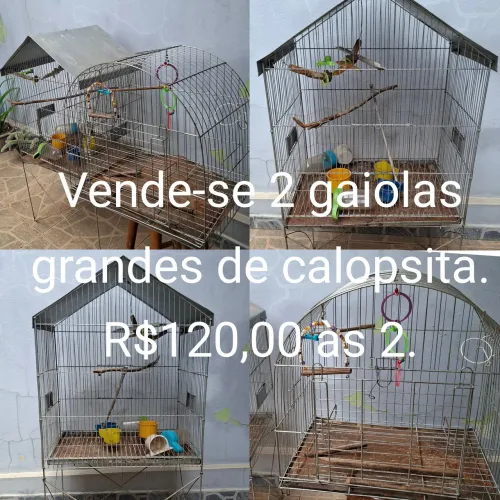 Gaiola