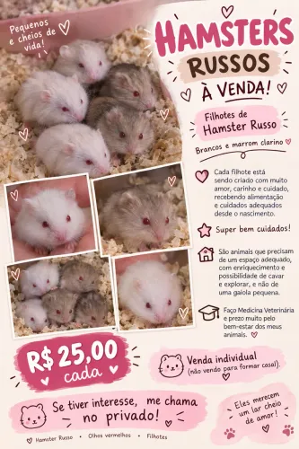 Hamster Anão russo ?