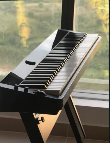 Vendo Piano Digital Privia Px S3100 Bk