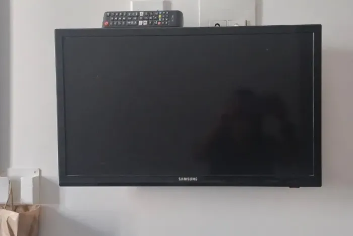 Tv Samsung 28 pl