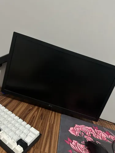 Monitor LG 22 polegadas 75hz