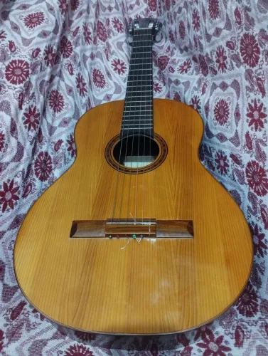 Violão DiGiorgio