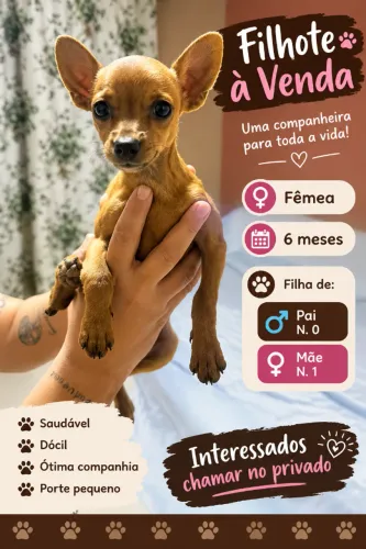 filhote de cachorro