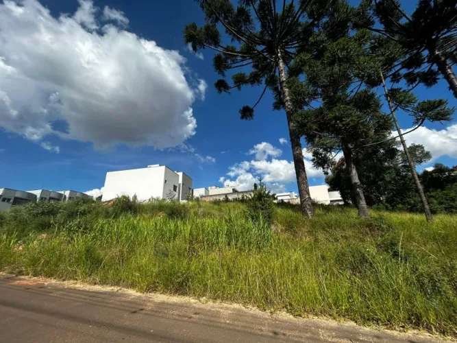 Terreno à venda - Jardim Alphaville, com 802,26m² de área total, sendo 27 metros