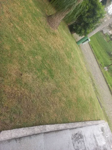 Serviço de jardinagem