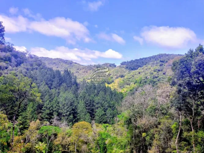 Terreno Rural para Venda em Angelina, ALTO GARCIA