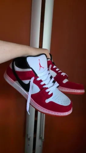 Sapatos Novos de 60 reais qualquer um.