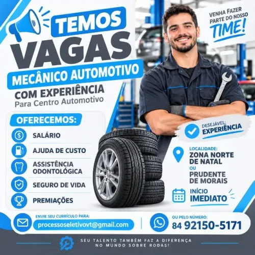 Mecânico de veículos 
