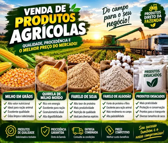 Milho em Grãos Ensacado Sacas de 50kg e 60 kg