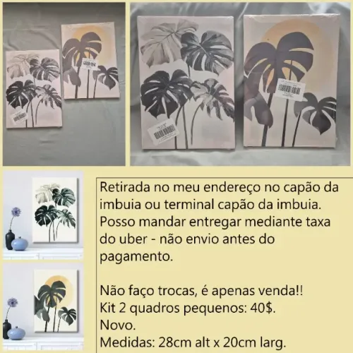 2 quadros pequenos novos
