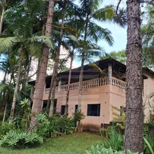 Chácara a venda com 6.000m² no bairro Tanchinho em Santo Antonio de Posse