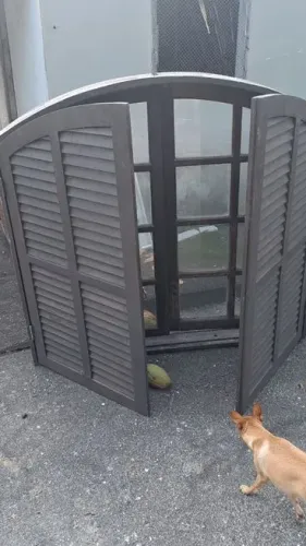 Janela Colonial Rústica em Arco com Venezianas de Madeira Maciça
