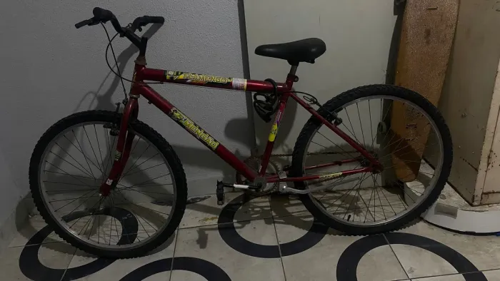 Bicicleta