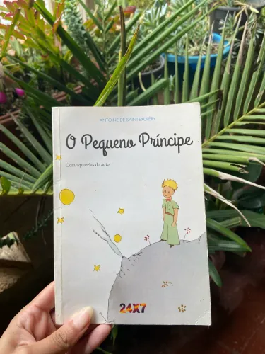 Livro o Pequeno principe