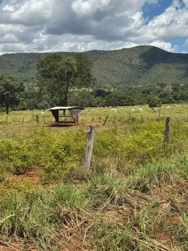 Fazenda 110 alqueires, Faina-Go