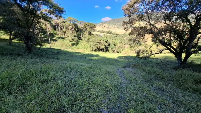 Terreno 12 Hectares em Wenceslau Bráz-Mg