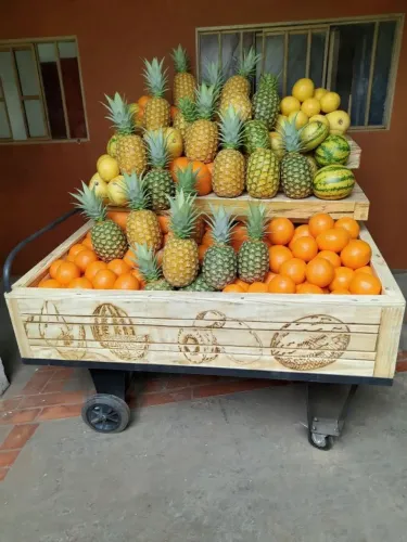 Expositor para hortifruti