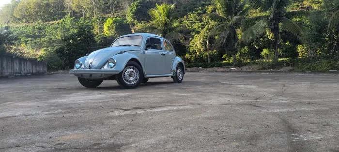 Volkswagen Fusca Fusca (gasolina) 1986