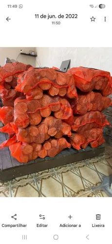 Lenha em saco de 10kg - eucalipto 