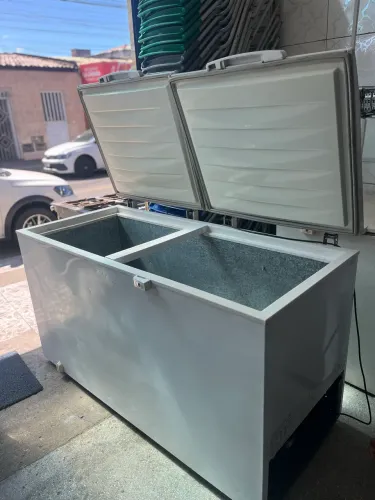 Freezer Electrolux