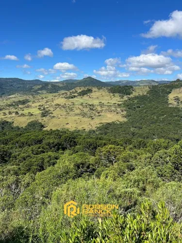 42,7 hectares localizados em São Joaquim