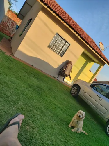 Terreno amplo em Maringá - 280 m² com casa construída