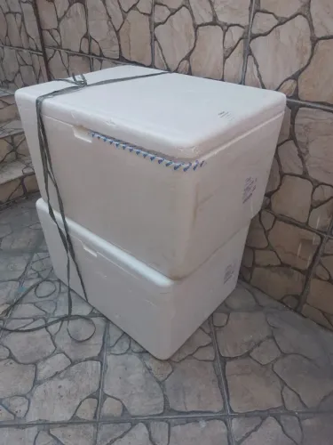 Vendo caixas de isopor