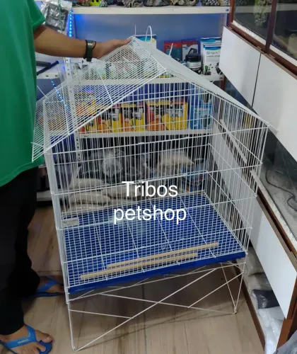 Viveiro grande promoção