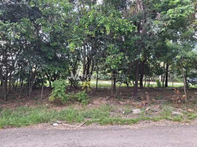 área - Dois Córregos - Valinhos