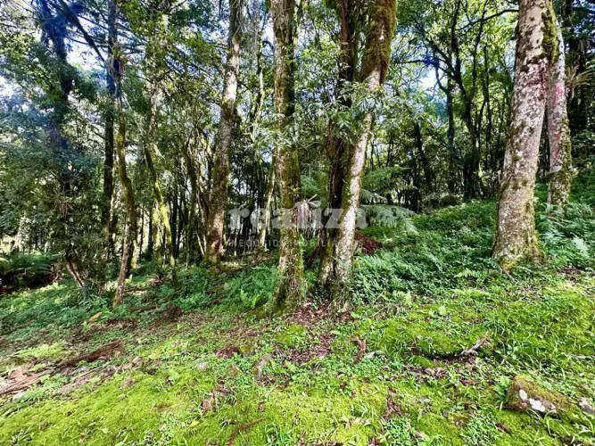 TERRENO EM CONDOMÍNIO