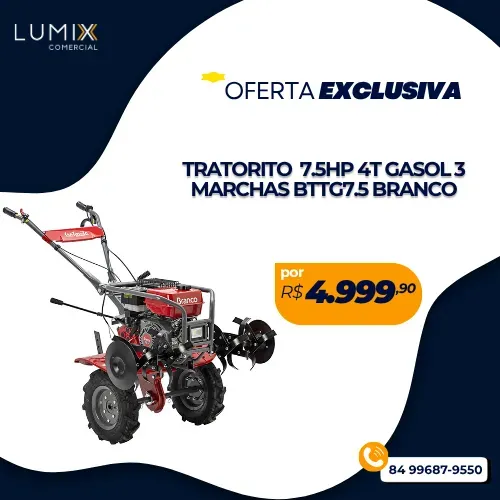 TRATORITO  7.5HP 4T GASOL 3 MARCHAS BTTG7.5 BRANCO