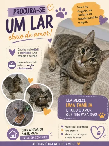 Doa-se gatinha 