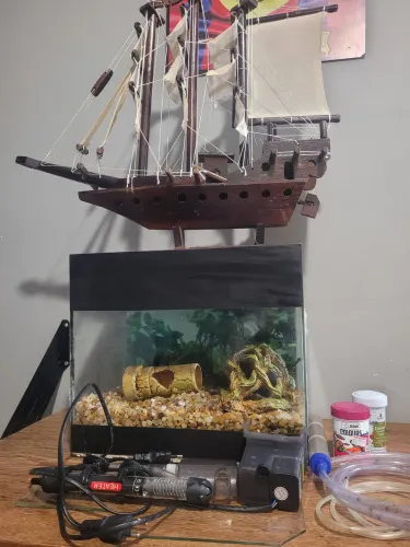 Aquario + barco + acessorios