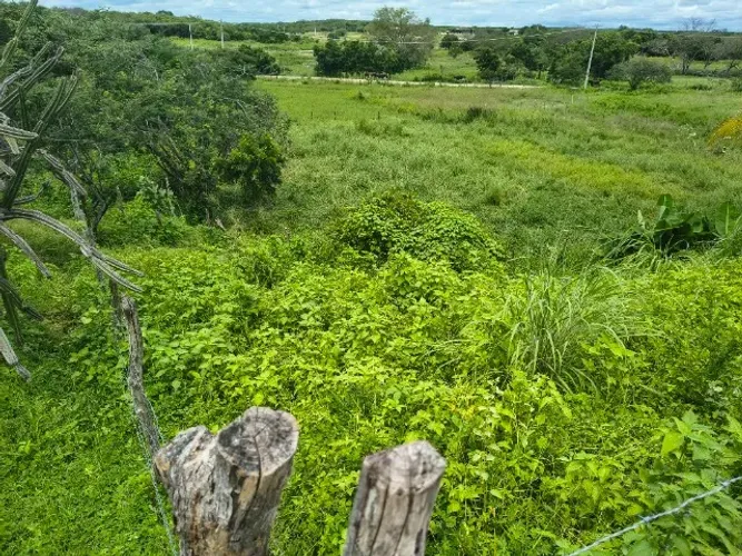 FAZENDA 114HA | 2 AÇUDES | ENERGIA SOLAR | CASA SEDE | SOLONÓPOLE