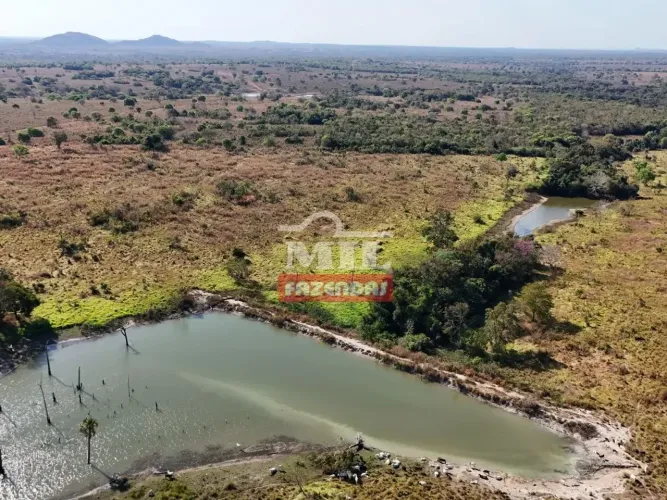 Fazenda 311 alqueires ( 1.506 hectares ) Porangatu - GO