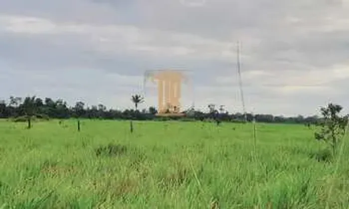 Fazenda de 100 alqueires no Estado do Tocantins