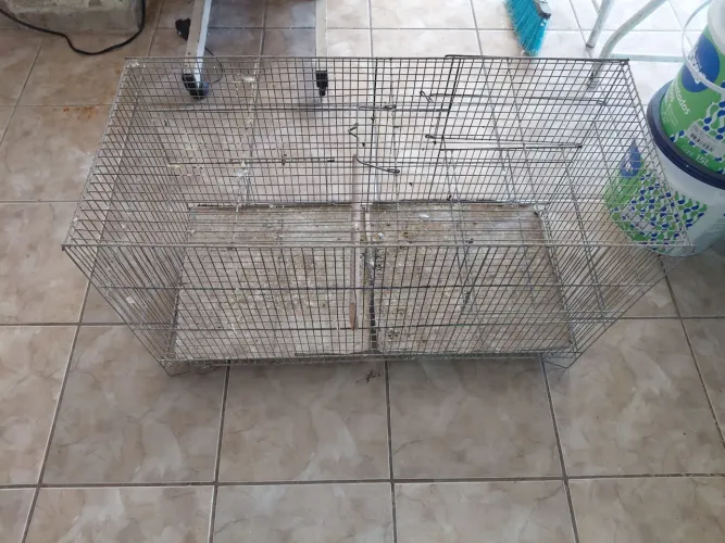 Vendo gaiolas para calopsita de reprodução 120 reais