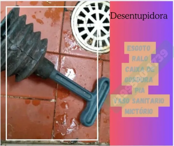 Desentupidora de vasos