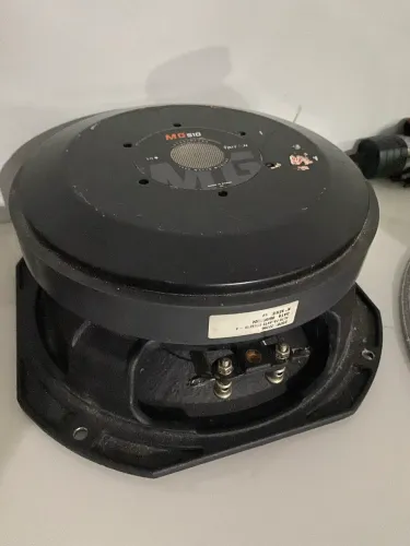 Médio de 10 pol triton de 500 rms