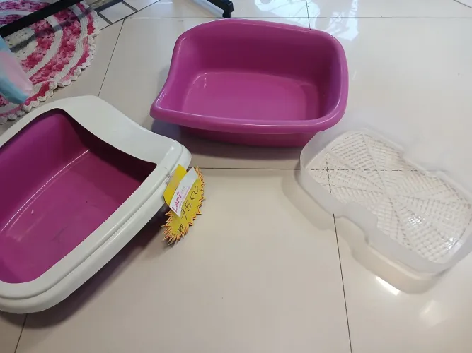 caixa areia para gato