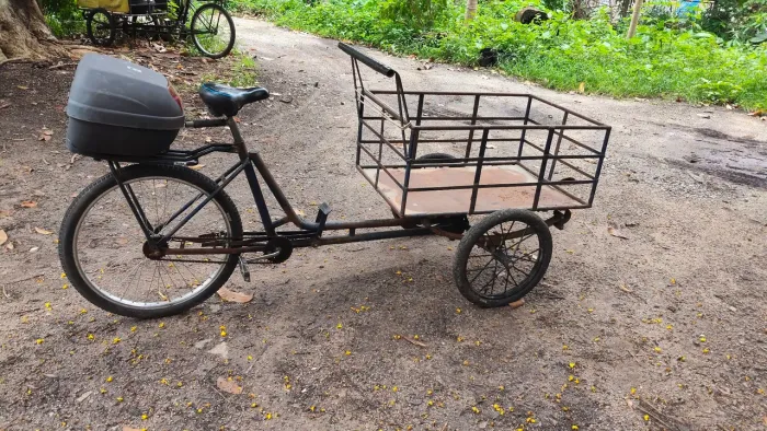 Triciclo de carga