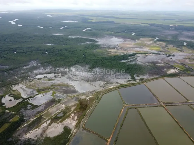 Canguaretama 500 Hectares
