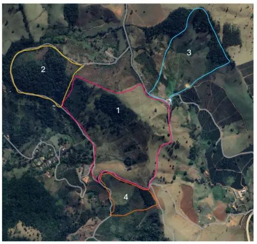 Fazenda 77 Ha em Maria da Fé | Água, Vista Mantiqueira e Documentação 100%