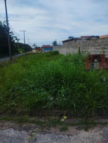 Limpeza de terreno 