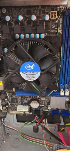 Cooler intel