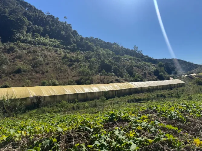 Propriedade 7 hectares com plantação de xuxu e estufa