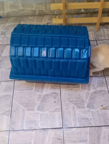 Casinha de cachorro