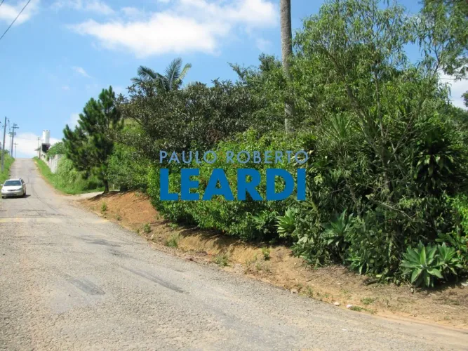 AREA - LARANJA AZEDA - SP